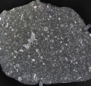 This cross-section of the carbonaceous chondrite, Allende, displays both CAI's and chondrules. The CAI is the large, white, amorphous inclusion just left of center. The chondrules are the near perfectly round inclusions seen throughout the section. 